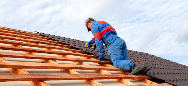 Best Chimney Flashing Repair  in Rossmoyne, OH